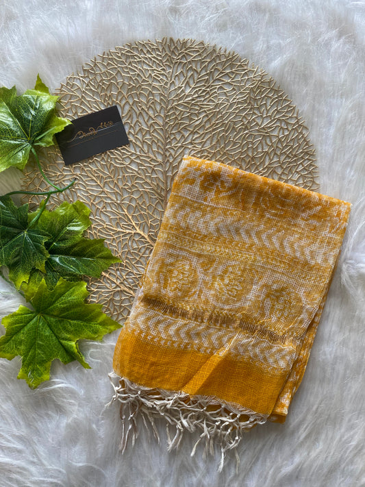 AD109 - Block printed kota doria dupatta