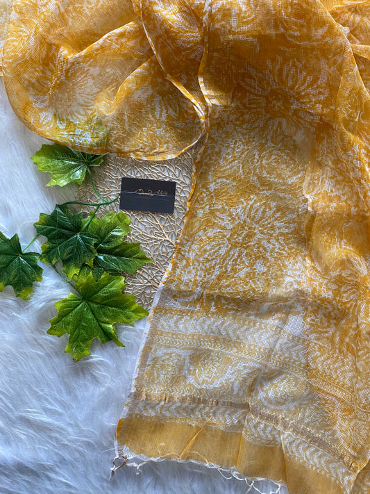 AD109 - Block printed kota doria dupatta